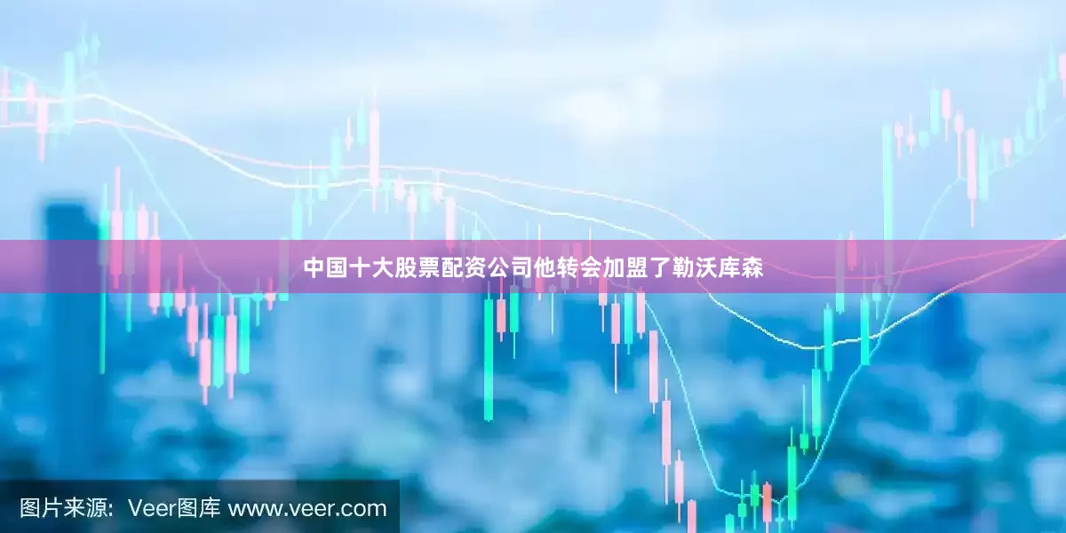 中国十大股票配资公司他转会加盟了勒沃库森