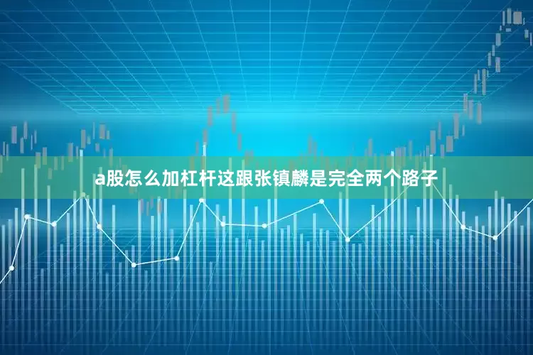 a股怎么加杠杆这跟张镇麟是完全两个路子