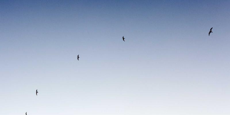 5G网络切片：工业风设计下的虚拟网络革命，如何为垂直行业定制专属资源