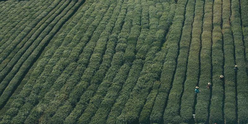 从代码到配置：意图驱动网络（IDN）如何用自动化重塑网络运维