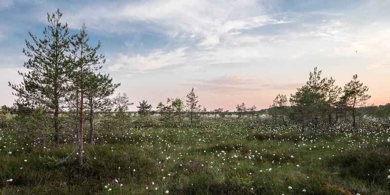 工业风设计遇见无线革新:Wi-Fi 6E企业级部署实战,破解高密度场景下的干扰与容量困局