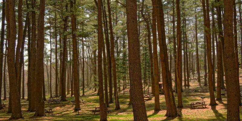 打破数据孤岛:深度解析OPC UA over TSN如何成为工业4.0的“万能翻译官”与“时间管理者”