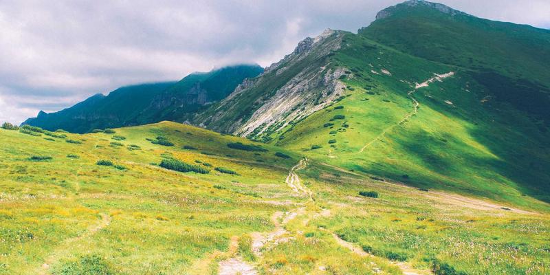 边缘计算与网络技术融合：开发者必须掌握的三大趋势与实战资源